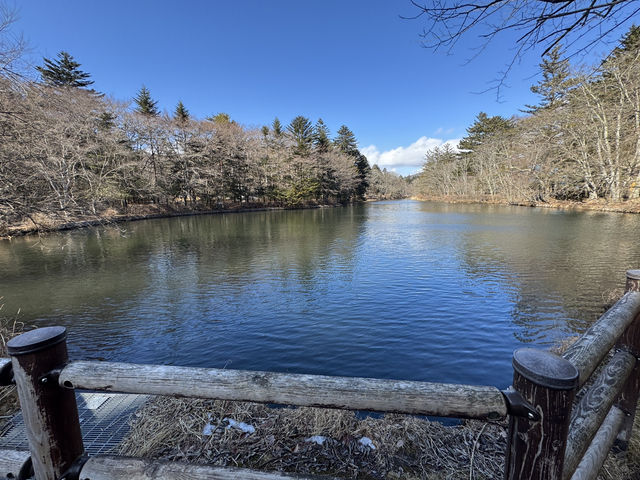 ❄️輕井澤冬日一日遊：雪中散步 × 美食 × 購物小確幸❄️