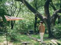 คาเฟ่มัทฉะในสวนสไตล์ญี่ปุ่น ย่านบางขุนนนท์ 🍵🌳