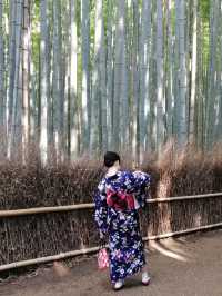 Lost in the Bamboo Sauce: A Stroll Through Arashiyama Bamboo Forest 