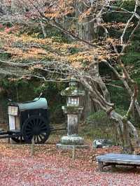 【紫式部も愛した絶景寺院🌸】石山寺で文学と自然の旅📖🍁