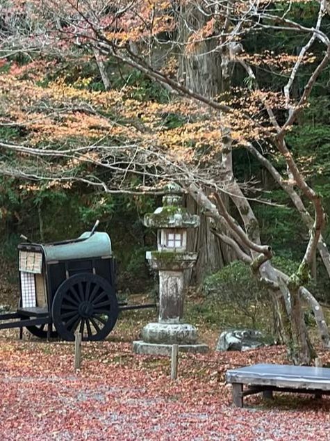 【紫式部も愛した絶景寺院🌸】石山寺で文学と自然の旅📖🍁