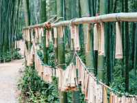 Juknokwon Bamboo