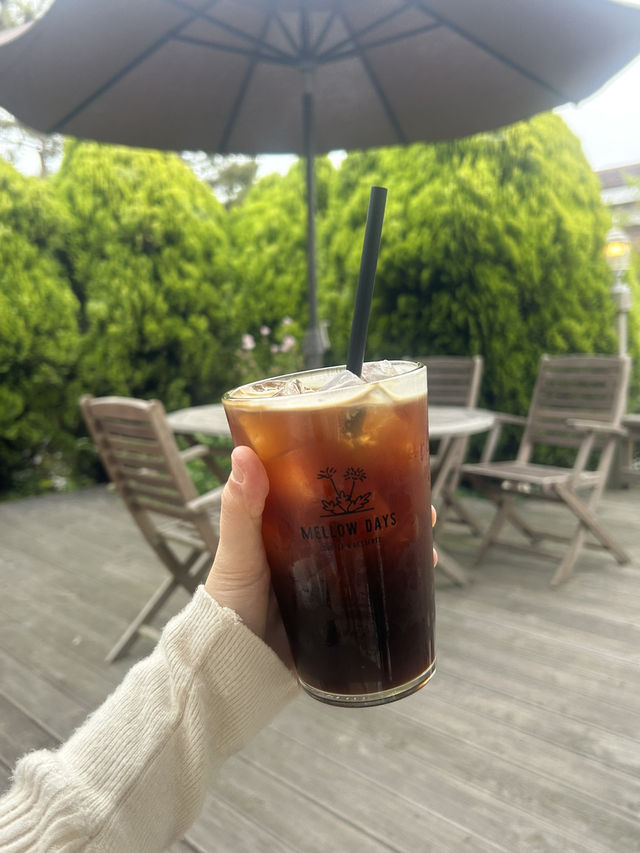 🌸 넓은 정원에서 즐기는 여유와 맛있는 스콘, 멜로우데이즈