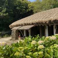 Summer Serenity: Discovering Jeju's Traditional Charm