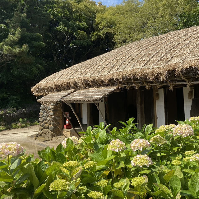 Summer Serenity: Discovering Jeju's Traditional Charm