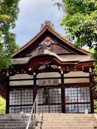 เมือง Uji เมืองชาเขียว