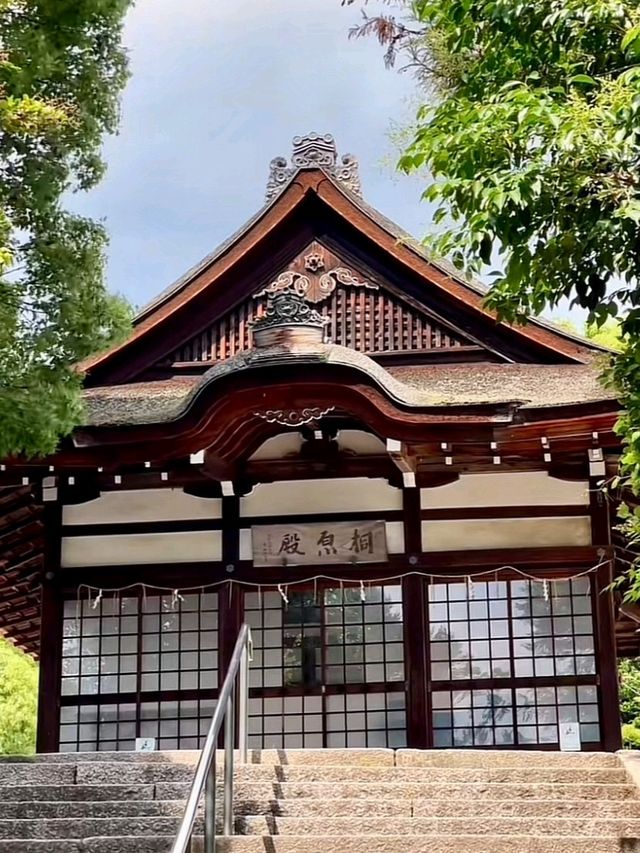 เมือง Uji เมืองชาเขียว