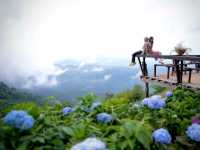 คาเฟ่บนยอดดอยม่อนแจ่ม