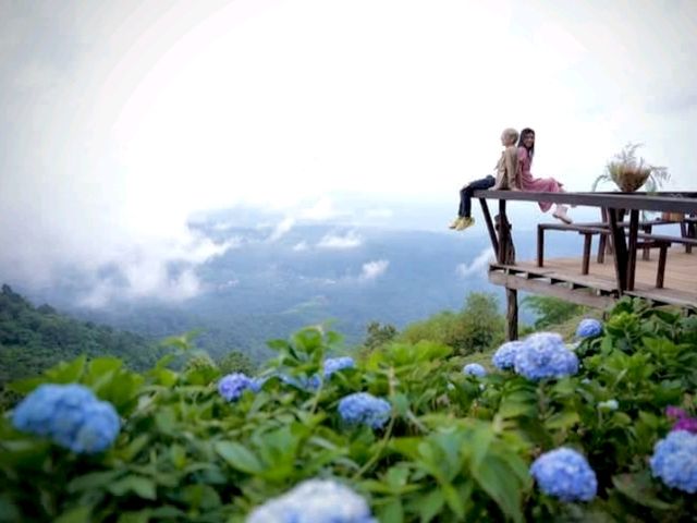 คาเฟ่บนยอดดอยม่อนแจ่ม