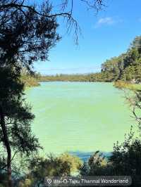 🥑紐西蘭「牛油果硫磺泉」爆美打卡｜Wai‑o‑Tapu Devil’s Bath 全攻略 