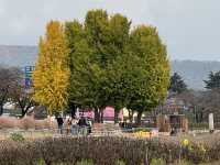 1박 2일 경주 여행