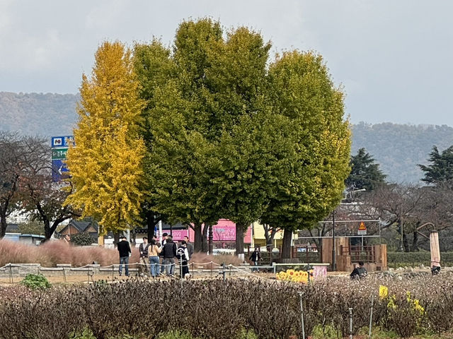 1박 2일 경주 여행