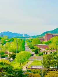 남산 뷰를 볼 수 있는 용산공원 반환부지