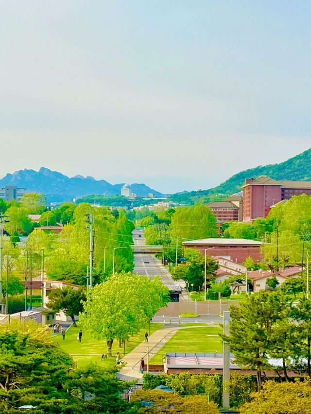 남산 뷰를 볼 수 있는 용산공원 반환부지