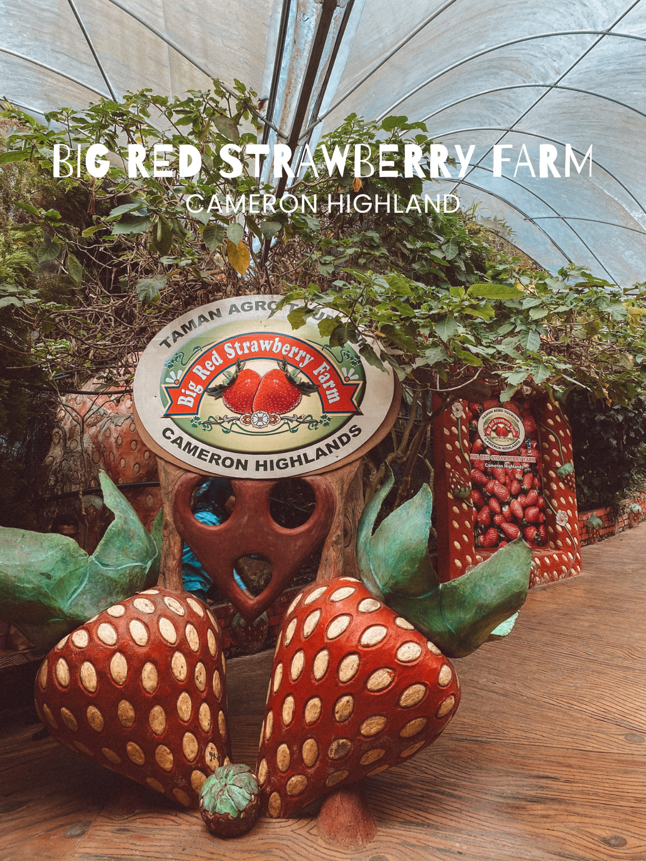 Strawberries, Flowers & Café Treats: A Day at Big Red Farm