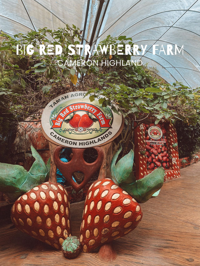 Strawberries, Flowers & Café Treats: A Day at Big Red Farm