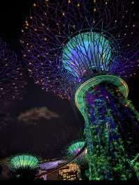 แชร์ประสบการณ์เที่ยว Gardens by the Bay @สิงคโปร์