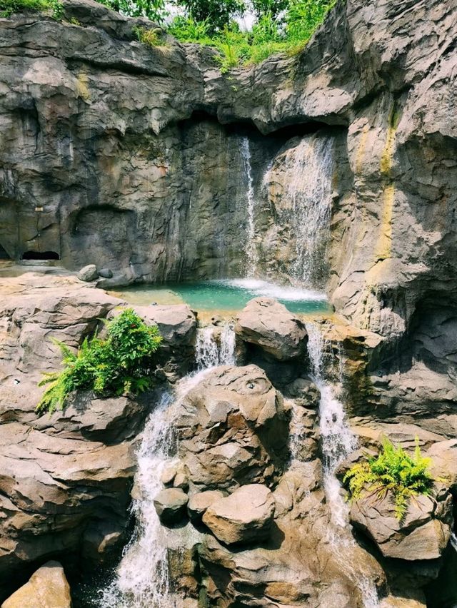 🌳🐒 “Step into the Wild!” – Asian Rainforest Adventure Singapore 