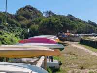 Cameron's Bight Boat Club：彩虹船与航海传奇