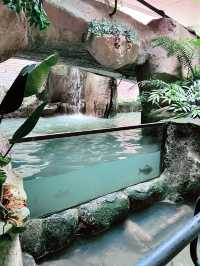 “Explore Malaysia’s Aquatic Wonders at Akuarium Negara”