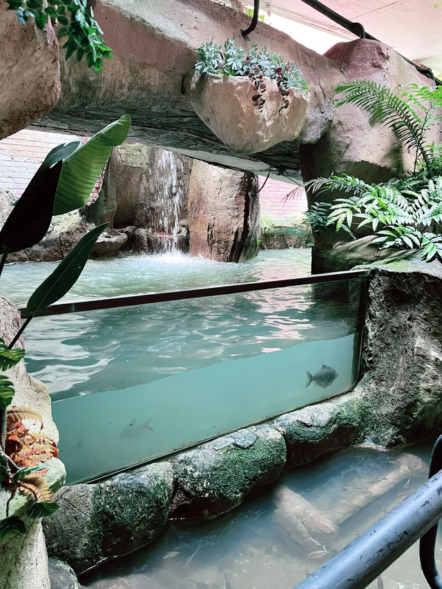 “Explore Malaysia’s Aquatic Wonders at Akuarium Negara”