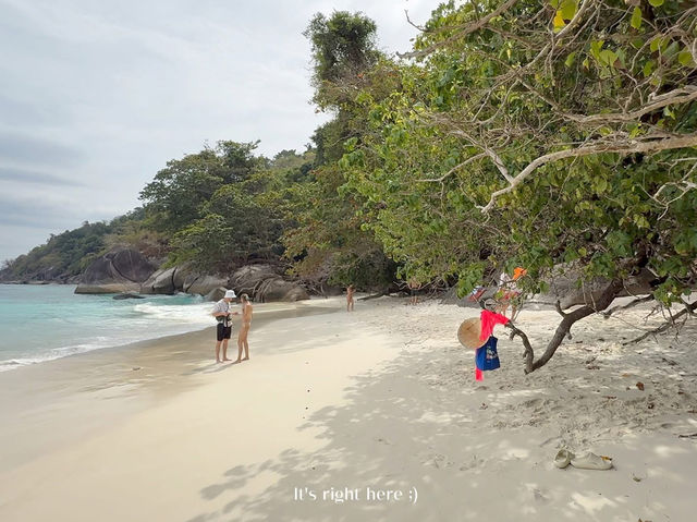 🐚 รีวิวหาดเจ้าหญิง หมู่เกาะสิมิลัน พังงา 
