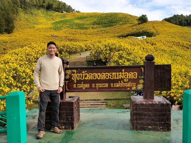 ทุ่งบัวตองดอยแม่อูคอ จ.แม่ฮ่องสอน