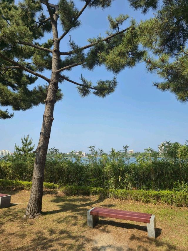 국내여행 속초의 거대호수 영랑호와 산책길
