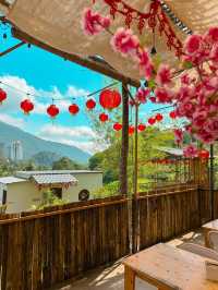 🌿 Kireina Genting Villa & Café – A Japanese-Style Brunch Sanctuary En Route to Genting