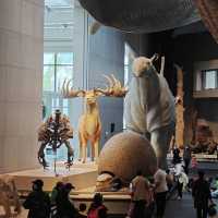 The Shanghai Natural History Museum