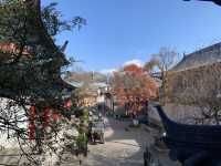Stunning panoramic views of Lijiang Ancient Town