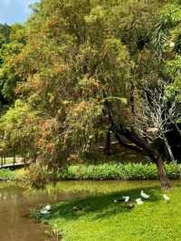 深圳中心公園｜藏在公園裏的宮崎駿☁️