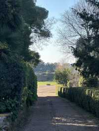 Palatine Hill: Where Emperors Dreamed And Rome Was Born
