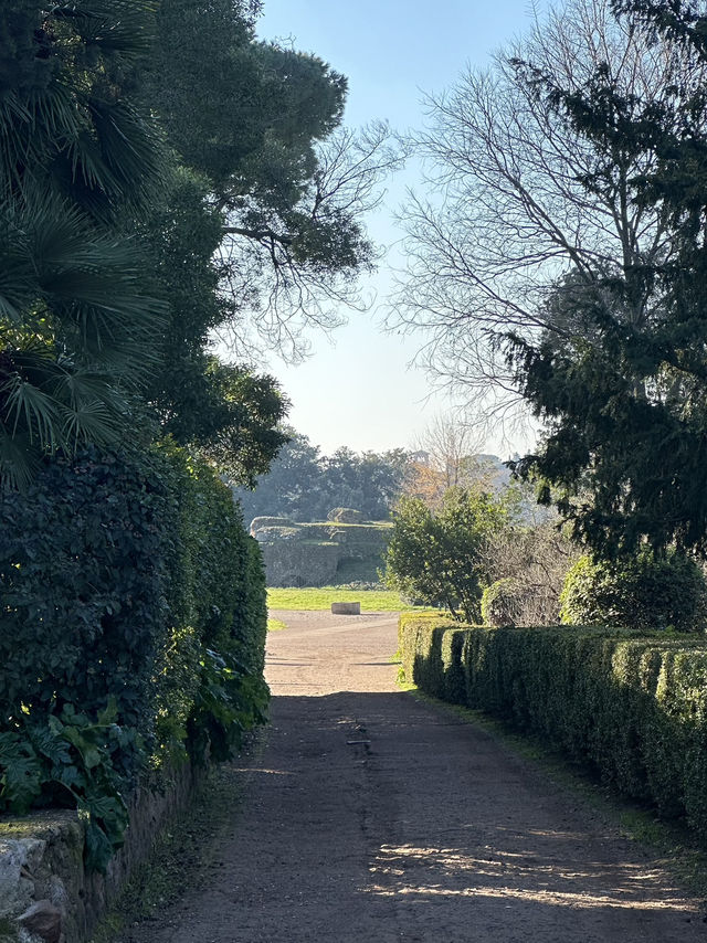 Palatine Hill: Where Emperors Dreamed And Rome Was Born