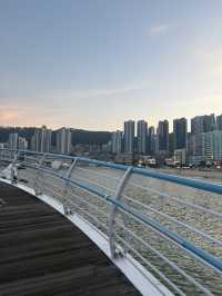 부산 해수욕장 옆의 화려한 산책로 🌊