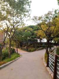 Seonyudo Park