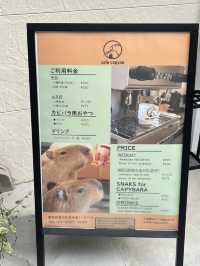 Cafe Capyba – Tokyo’s Cozy Capybara Retreat  