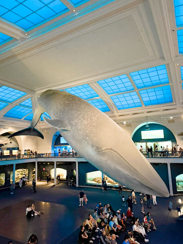 Unleash Your Inner Explorer: A Fun-Filled Adventure at the American Museum of Natural History!