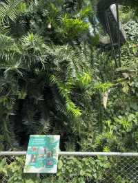 Cloud Forest Jurassic in Singapore 🦕