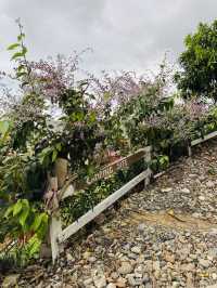  Garden Wing Serenity at The Hill Kundasang