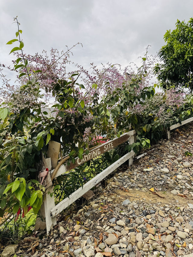  Garden Wing Serenity at The Hill Kundasang