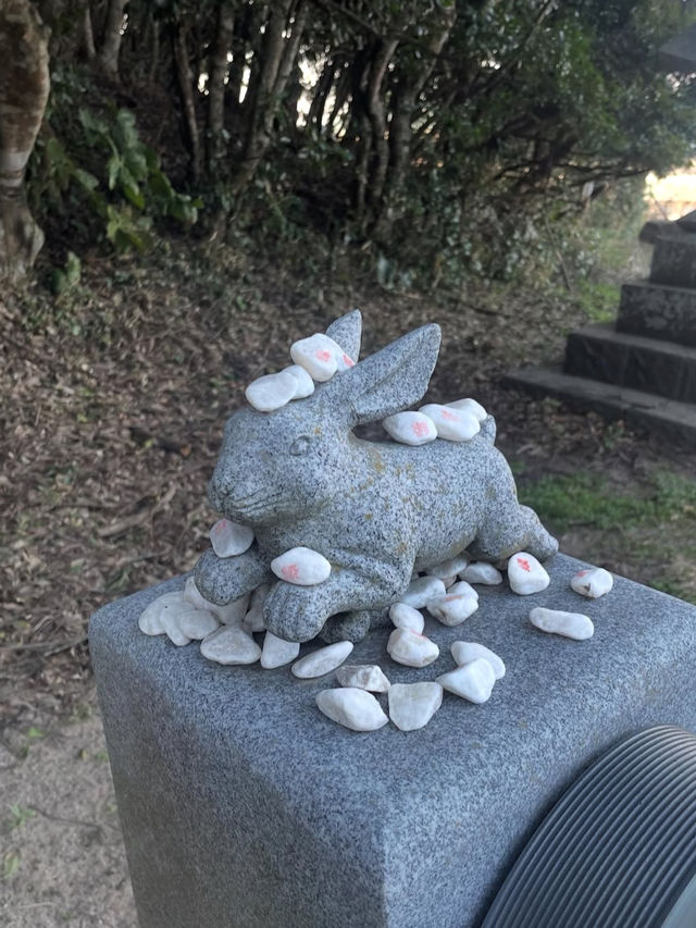【神話の地で縁結び✨白兎神社で心清らかに】