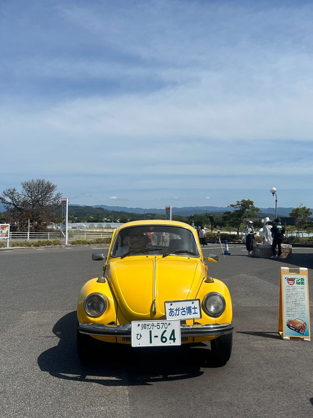 【名探偵の故郷へ🕵️青山剛昌ふるさと館でコナンの世界に浸る】