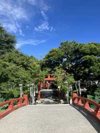 【神奈川・鎌倉市】鶴岡八幡宮〜商売繁盛、勝負運、良縁、安産のパワースポット〜