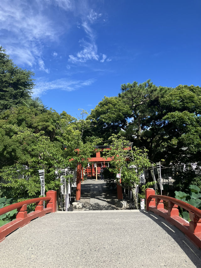 【神奈川・鎌倉市】鶴岡八幡宮〜商売繁盛、勝負運、良縁、安産のパワースポット〜