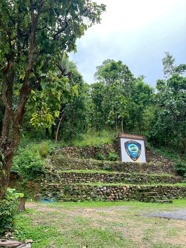  ลานกางเต็นท์ดอยขุนตาล จ.ลำพูน จ.ลำปาง