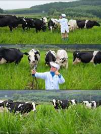MILK