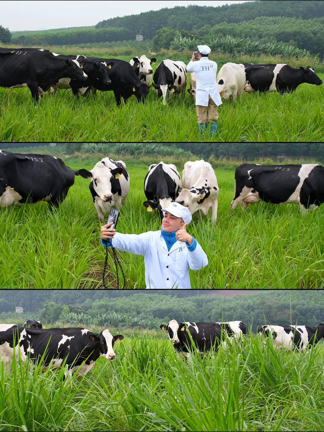 MILK