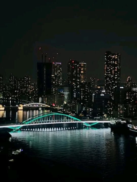 🏨 Mesm Tokyo – Where Art, Rhythm & the Bay Breathe as One 🎶🌊