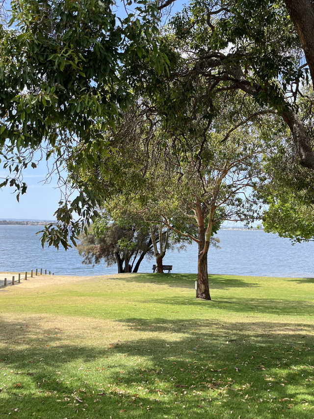 Welcome to UWA, Perth’s Most Beautiful Campus 🌿📚